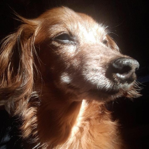 Meet your Posher, Melissa - Picture 2 of 5